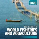 The Global Picture of the State of World Fisheries and Aquaculture