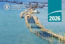 The Global Picture of the State of World Fisheries and Aquaculture