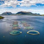 Atlantic Salmon Farm Project Gets Set to Go