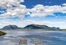 Atlantic Salmon Farm Project Gets Set to Go