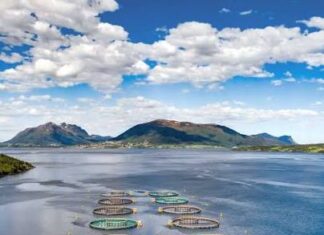 Atlantic Salmon Farm Project Gets Set to Go