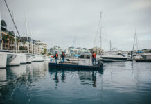 V&A Waterfront Marina Renews it’s Blue Flag Status