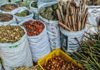 Indigenous Knowledge the Backbone of Biodiversity