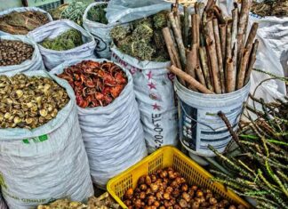 Indigenous Knowledge the Backbone of Biodiversity